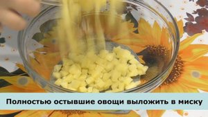 НЕ ВСЕ ТАК БЫСТРО ВИНЕГРЕТ ГОТОВЯТ! РЕЦЕПТ БЫСТРОГО ВИНЕГРЕТА В ПАРОВАРКЕ!
