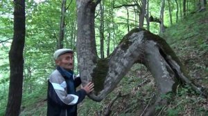 Зелимхан Харачоевский. Пещера.