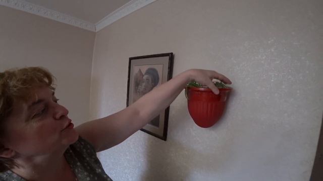 ВЛОГ Друг / Спасибо за советы / Теперь они у меня есть :)) 19 июня 2018 г. смотреть онлайн