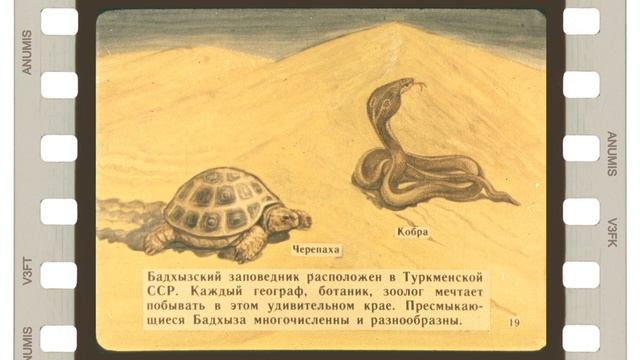 Диафильм "Заповедники СССР" 1979 год - озвучен! смотреть онлайн