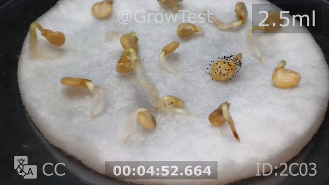 Влияние количества влаги на прорастание семян и появление плесени на них смотреть онлайн