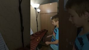 Игра на ксилофоне