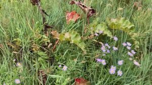 Vitim River, Siberia Сплав по реке Витим 2023