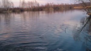 Кастинговая сеть.ПЕРВЫЕ ЗАБРОСЫ!!!!! ПЕРВЫЕ ВПЕЧАТЛЕНИЯ!!! сеть приобреталась для ловли живца