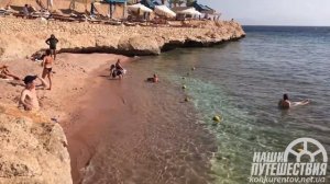 Grand Oasis Resort 4* Египет Шарм, краткий обзор отеля