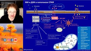Экспертология | СПКЯ и ожирение