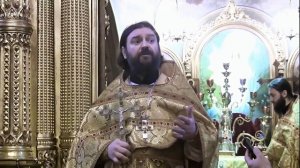 НАСТОЯЩАЯ СВОБОДА - СВОБОДА ОТ ГРЕХА. Прот.Андрей Ткачёв (19.12.2015г.)
