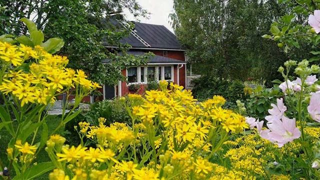 Красиво продуманный дизайн двора и сада смотреть онлайн