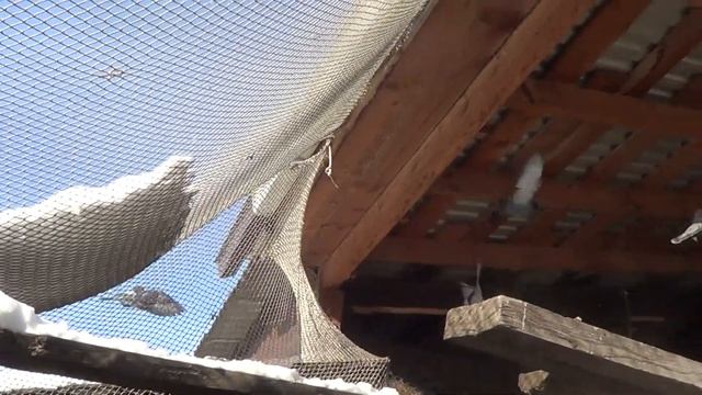 Весь день у вечного огня Готовлю смотреть онлайн