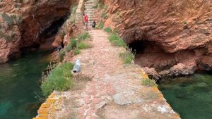 BERLENGA ISLAND DAY TRIP FROM PENICHE PORTUGAL