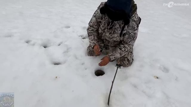 РЫБАЛКА НА РОДНЫХ ПРОСТОРАХ \ Часть 5 \ ДО СВИДАНИЯ, ЛЕСНАЯ СКАЗКА смотреть онлайн