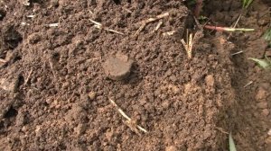 Два дня шурфа #238