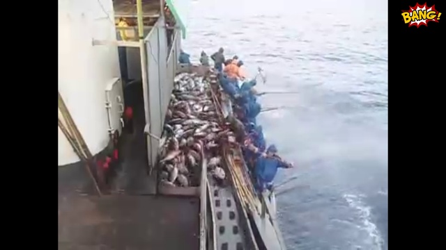 ПОЛНАЯ ЖЕСТЬ - ЮМОРНАЯ СОЛЯНКА!!! (ПРИКОЛЫ ДЛЯ ДУШИ)!!! смотреть онлайн