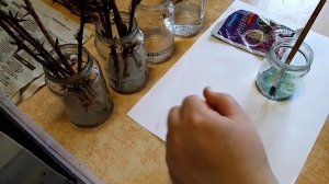 Размножение смородины, крыжовника, жимолости черенками.