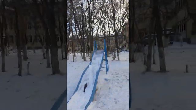 Зима в Макене - на 17 мкр мимо корта и деревьев без коры школы №53 в снегу 26 ноября 2021 года