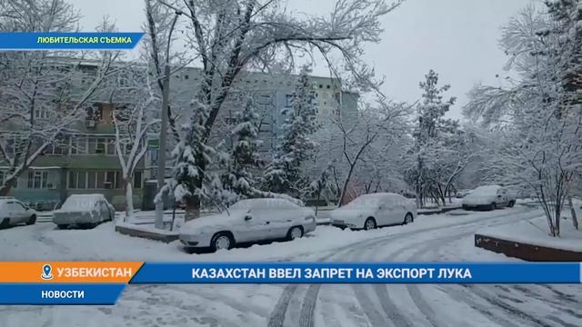 КАЗАХСТАН ВВЕЛ ЗАПРЕТ НА ЭКСПОРТ ЛУКА смотреть онлайн