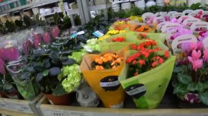 СЫН ПОПРОСИЛ СДЕЛАТЬ ЕМУ РЕШЕТКУ ДЛЯ ДУША? В КРАСНОДАР  ПО КОРОТКОЙ ДОРОГЕ ? ЗА ДОСКАМИ В МАГАЗИН?