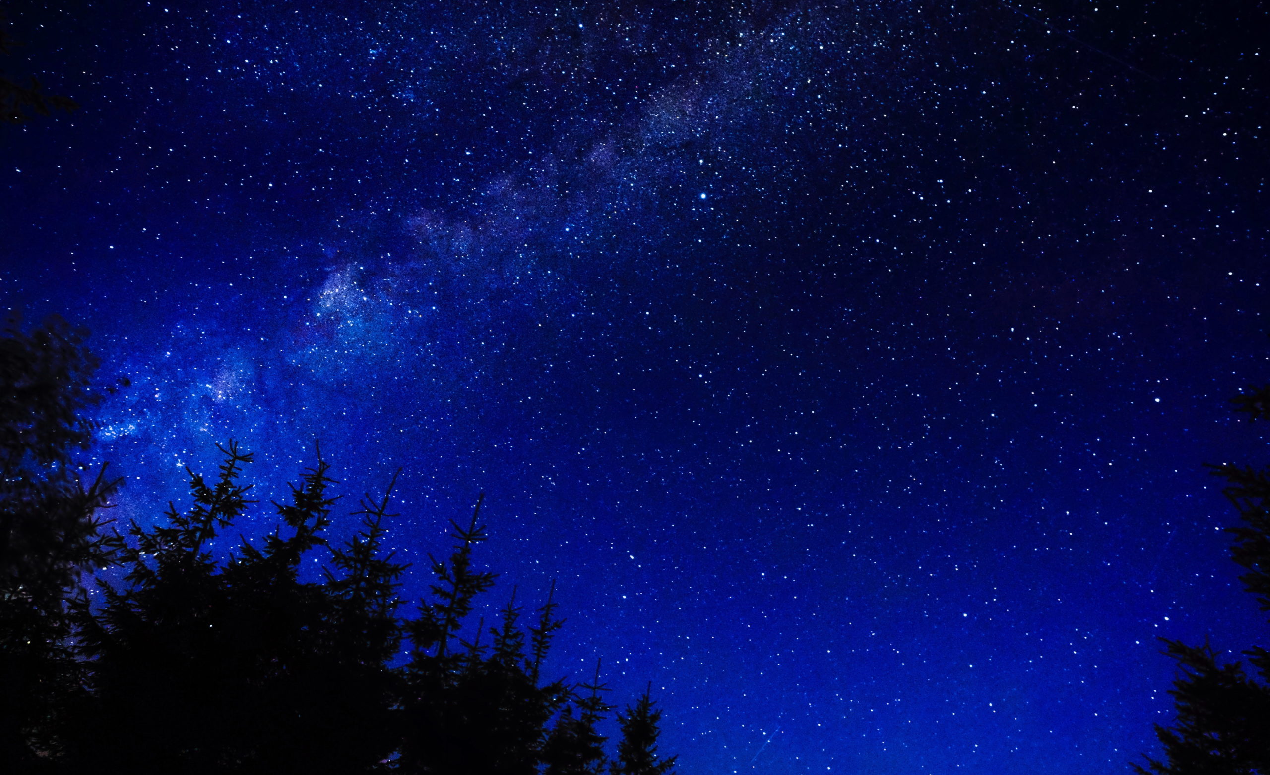 этот большой мир