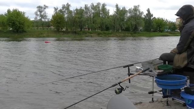 Фидерный БАТЛ в Пинске. Ловля подлещика. Неожиданный трофей. Рыбалка в Беларуси 2020.