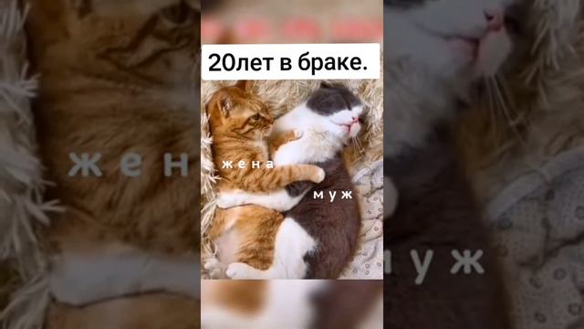 Женаты давно😉