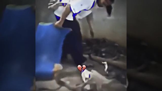 СМОТРИ И СМЕЙСЯ смотреть онлайн