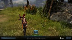 Lost Ark Online. Ноты. Лесная баллада Пикси.