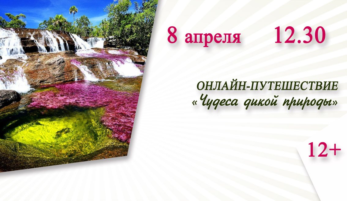 «Чудеса дикой природы» (онлайн-путешествие)