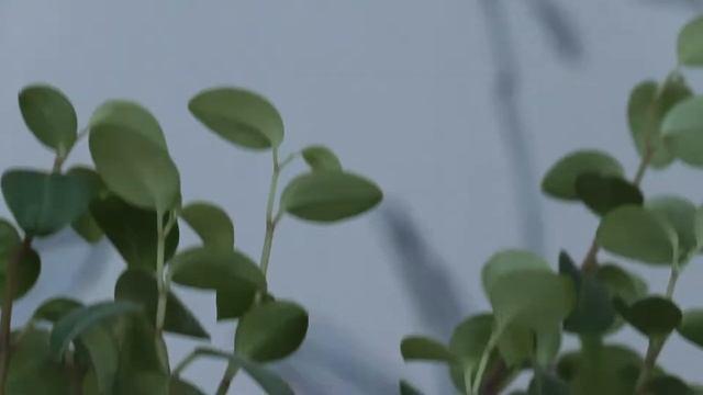 ЧАСЫ ЗА 150 РУБЛЕЙ!!! смотреть онлайн