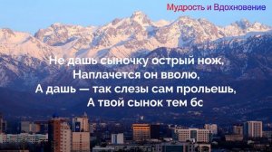 Казахские пословицы которые пригодятся в жизни
