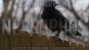 ШАМАН НАШИХ ДНЕЙ . СЕРИЯ 4! (Т.КЛИМЕНКО) Мистика Ведьмаки Фамильяры Страшные истории на ночь Расска