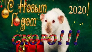 А ВЕДЬ СКОРО НОВЫЙ ГОД*