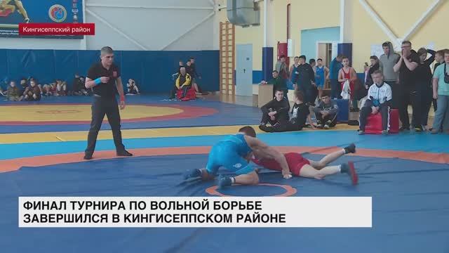 Финал турнира по вольной борьбе памяти Михаила Седюка прошел в Кингисеппском районе