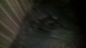 Соседи затопили квартиру