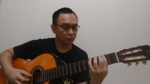 Blue Hawaii I Elvis Presley I Fingerstyle Guitar