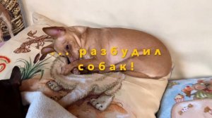 Навага Су-вид под маринадом, деревенский рецепт.