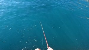 Морская Рыбалка в Крыму. Ловля Саргана в Ноябре После Шторма
