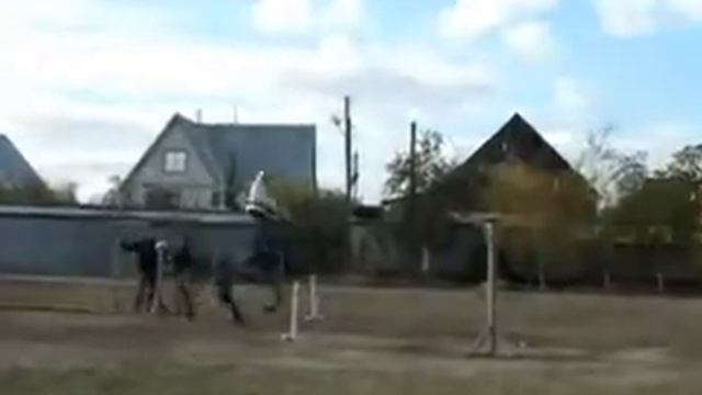 Казачьи потешки смотреть онлайн