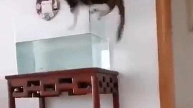 Экспресс-способ помыться, когда отключили горячую воду. Денис Избрехт,