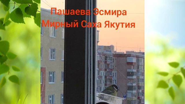 Фото-флешмоб Покорми пернатых друзей.mp4 смотреть онлайн
