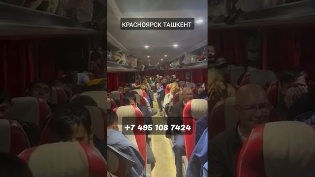 Красноярск Ташкент автобус 2023 смотреть онлайн