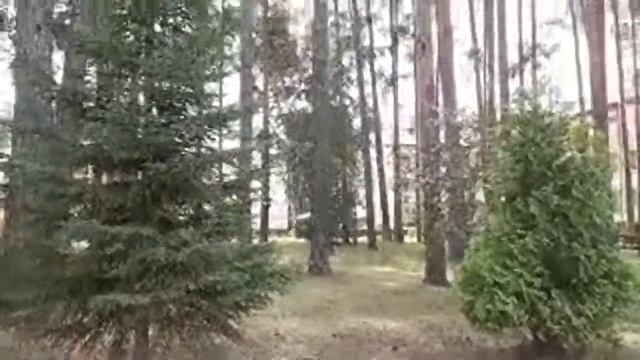 Санаторий Красная Гвоздика.Территория.