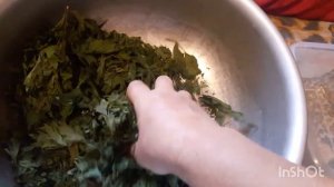 Сушим в электросушилке зелень и овощи...