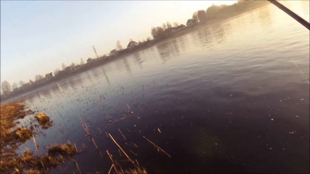 серебрянка смотреть онлайн