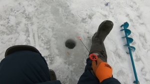 Зимняя ловля окуня на блесну.