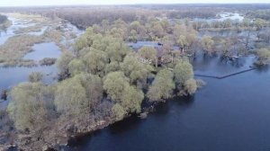 Усадьба «Припятский стан»