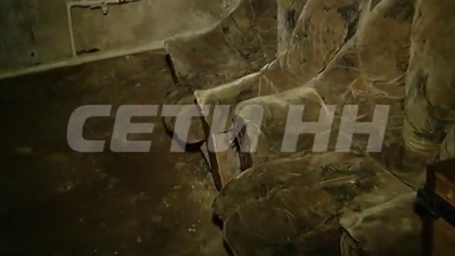 Из-за сырости и антисанитарии в богородском общежитии завелись улитки смотреть онлайн