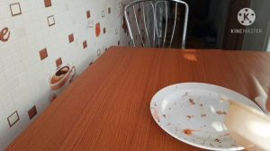 #КАКВЫРАСТИТЬ Как вырастить клубнику из семян в домашних условиях .. Стратификация семян.