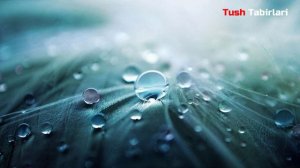 Туш табири - Тушда зам зам куриш