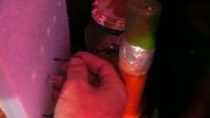 МИНИ ИНКУБАТОР ДЛЯ ПЕРЕПЕЛИНЫХ ЯИЦ закладка