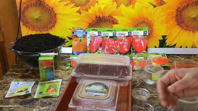 Посев сладкого перца от А до Я все в одном видео. Первый посев перца 2022 года.
